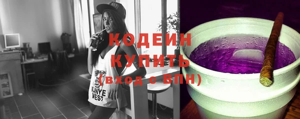 прущие грибы Бронницы