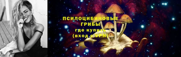 прущие грибы Бронницы