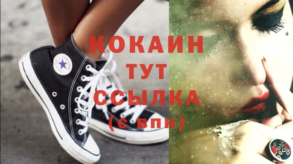 прущие грибы Бронницы