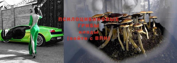 прущие грибы Бронницы