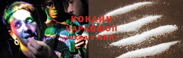 прущие грибы Бронницы