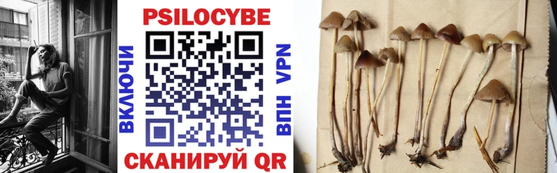 Галлюциногенные грибы GOLDEN TEACHER купить наркоту Кедровый